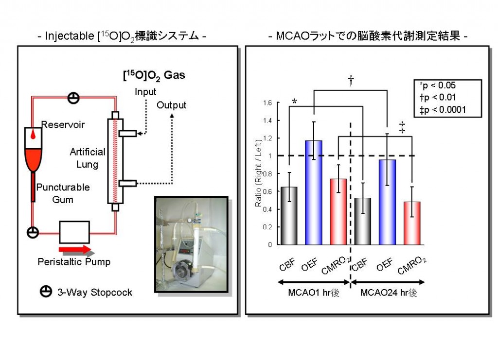 クリックすると拡大表示します。