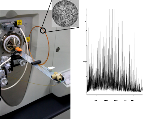 TT5600 MS analysis