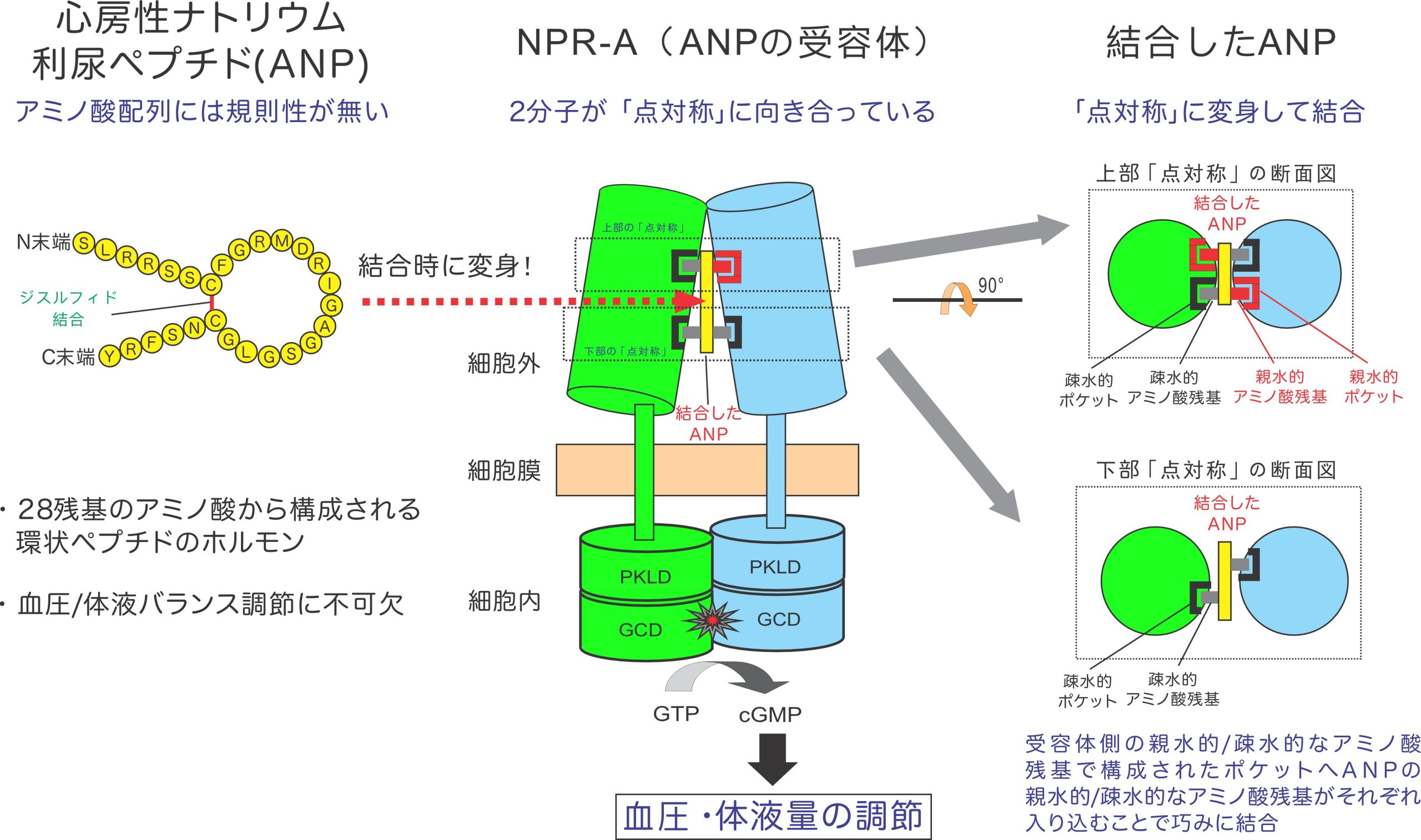 公の場での発言・インタビュー報道記録