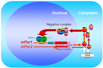 Fig.1