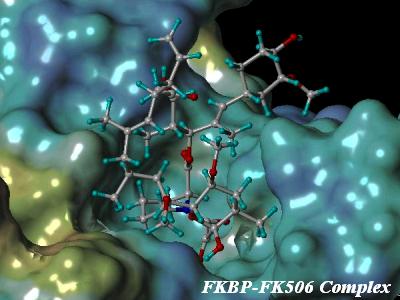 SBDD:HIV Protease inhibitor