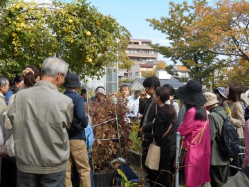 伊藤准教授による説明の様子