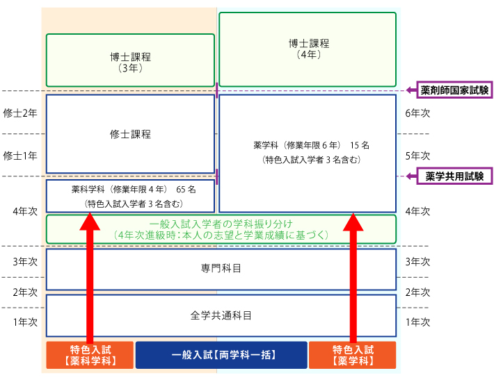 学科の特徴 京都大学大学院薬学研究科 京都大学薬学部