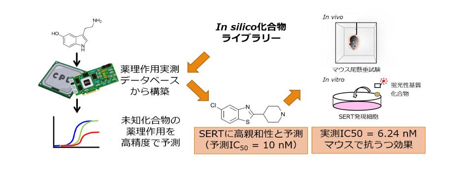 京都大学大学院薬学研究科 京都大学薬学部
