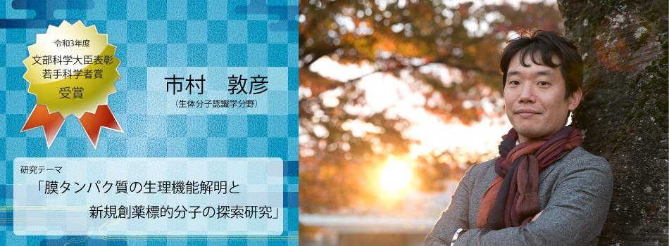 京都大学大学院薬学研究科 京都大学薬学部 京都大学大学院薬学研究科 京都大学薬学部
